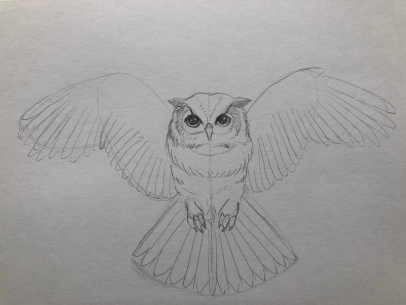 Как рисовать сову: 75 лучших рисунков карандашами и не только #68