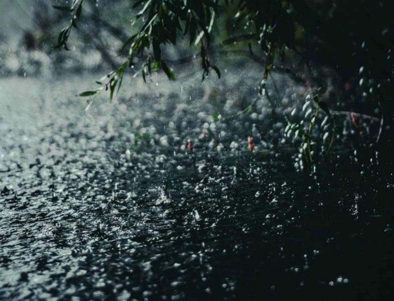 80 красивых фото дождя #17