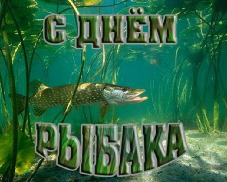 С днем рыбака в России! 60 прикольных открыток #38