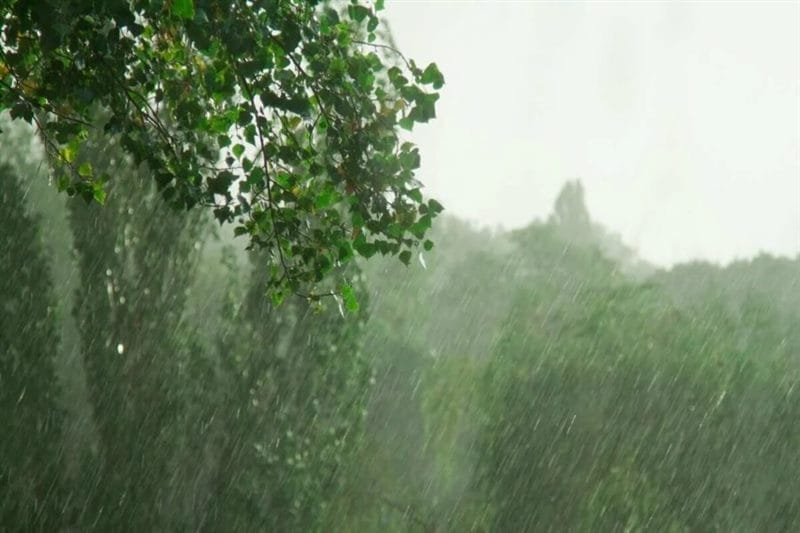 80 красивых фото дождя #44