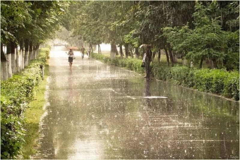 80 красивых фото дождя #49
