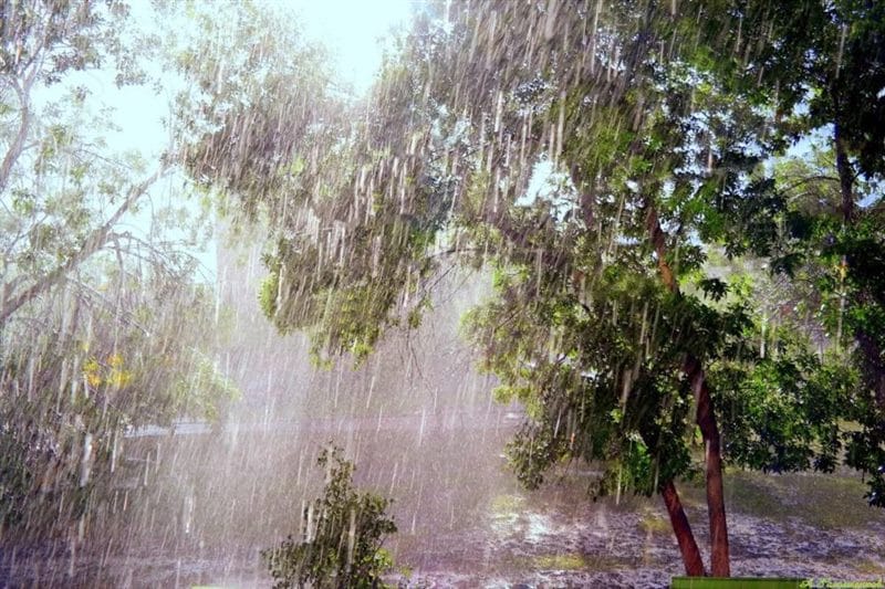 80 красивых фото дождя #58