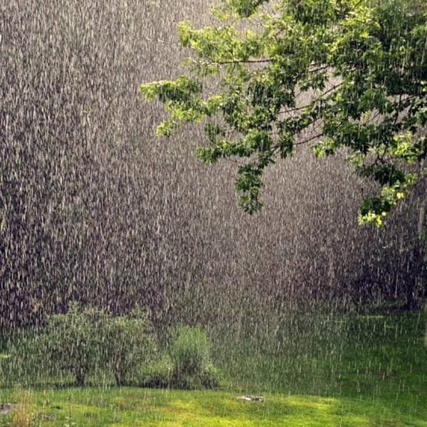 80 красивых фото дождя #24