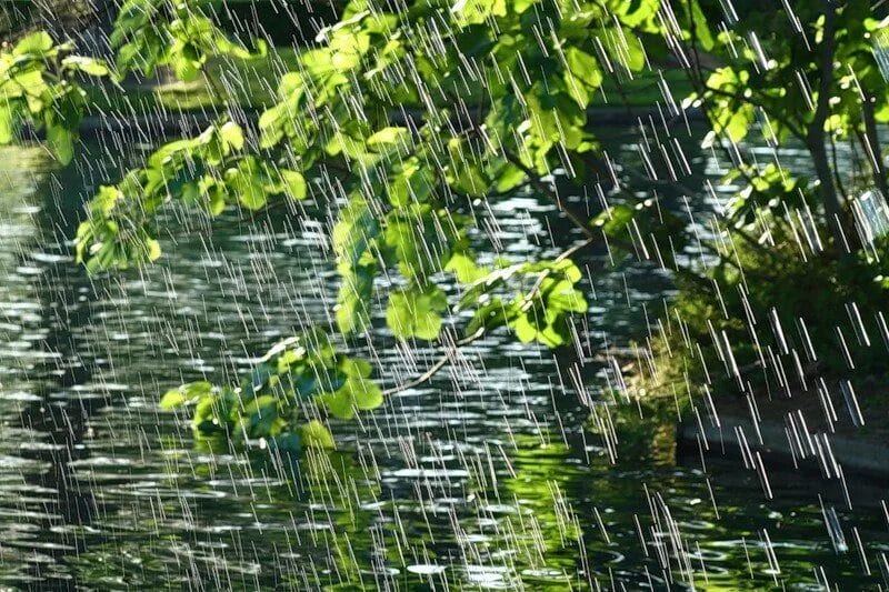 80 красивых фото дождя #19