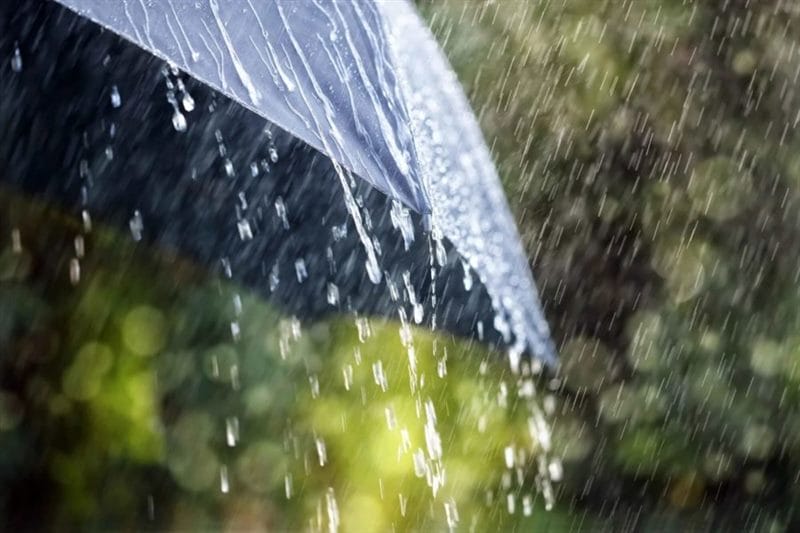 80 красивых фото дождя #76