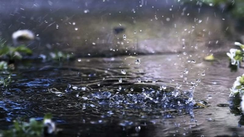 80 красивых фото дождя #48