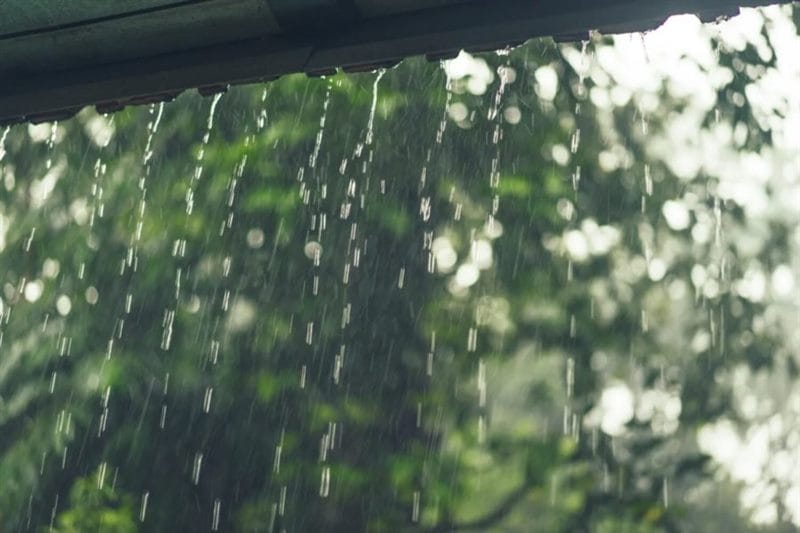 80 красивых фото дождя #45