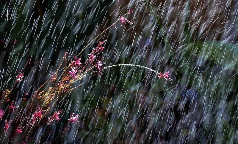 80 красивых фото дождя #18