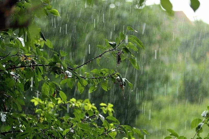 80 красивых фото дождя #28