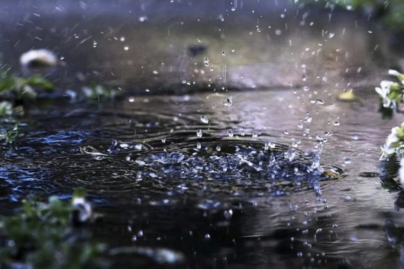 80 красивых фото дождя #1