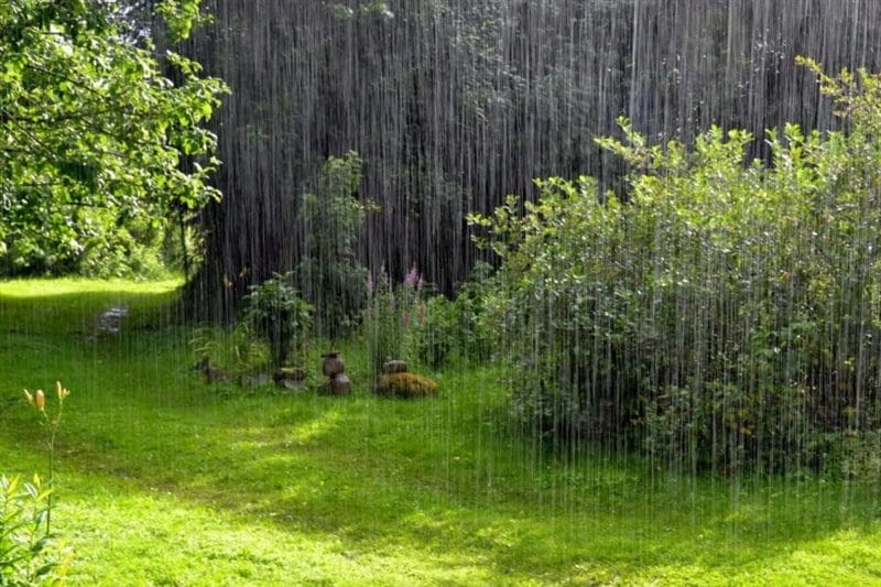 80 красивых фото дождя #4