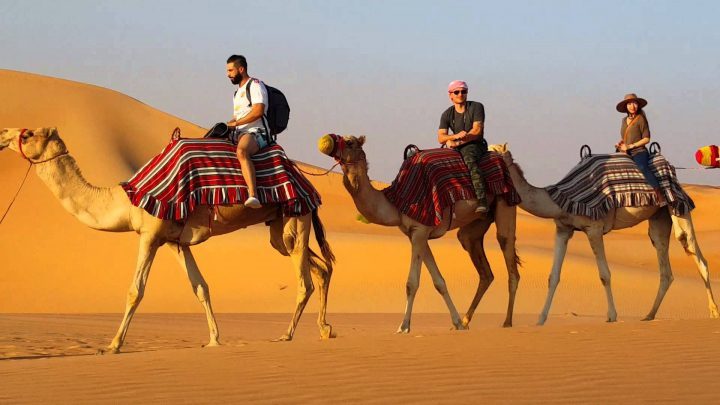 Почему вам стоит поехать в ОАЭ прямо сейчас: 10 фактов и 10 мест #21