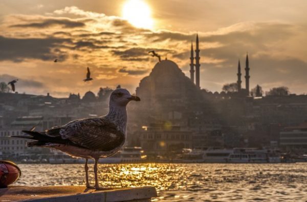 Можно ли ехать в Турцию летом 2020 из-за коронавируса #13