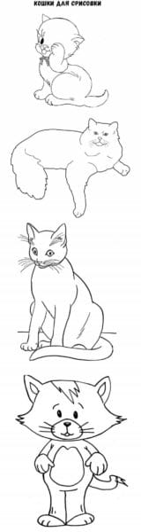 Картинки для срисовки котики