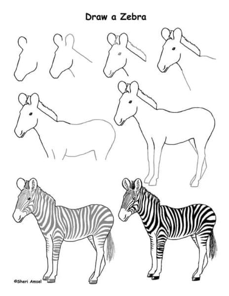 130 рисунков для срисовки с животными