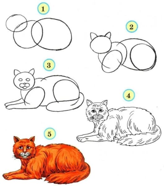 200 рисунков котов для детей и взрослых