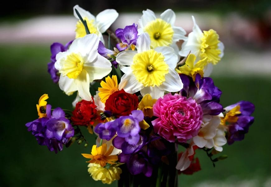 120 фото красивых букетов цветов