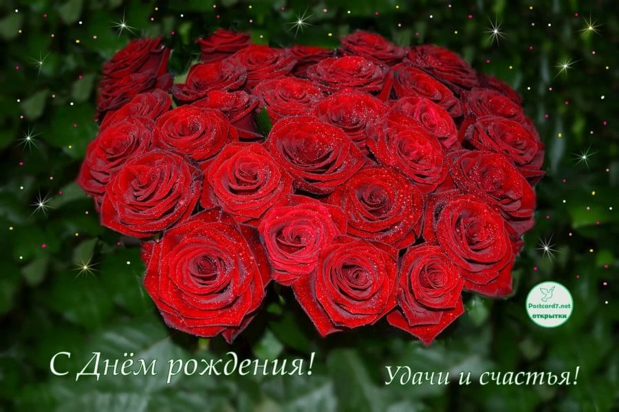 160 открыток с днем рождения для девушек с розами