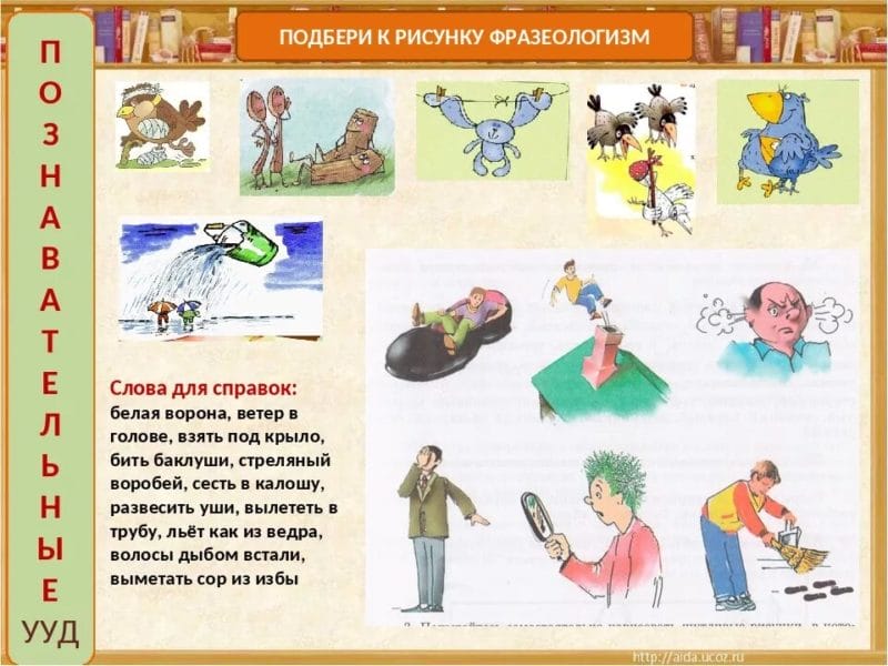 110 фразеологизмов в рисунках и картинках для детей