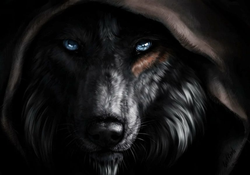 Волк: 75 аватарок для одиночек