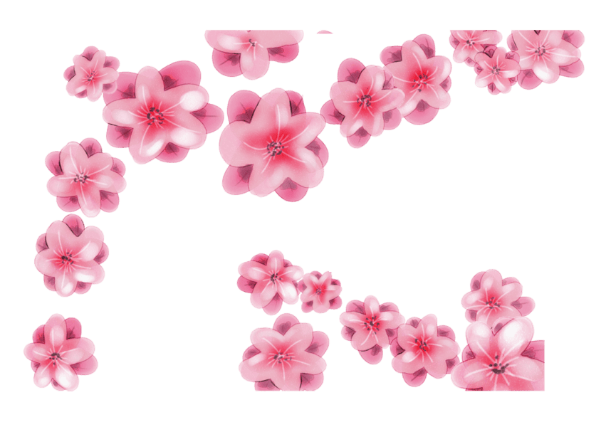 Цветы в PNG: 110 картинок без фона