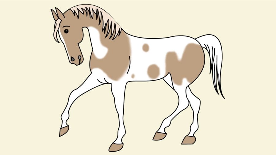 95 рисунков лошади карандашом и не только