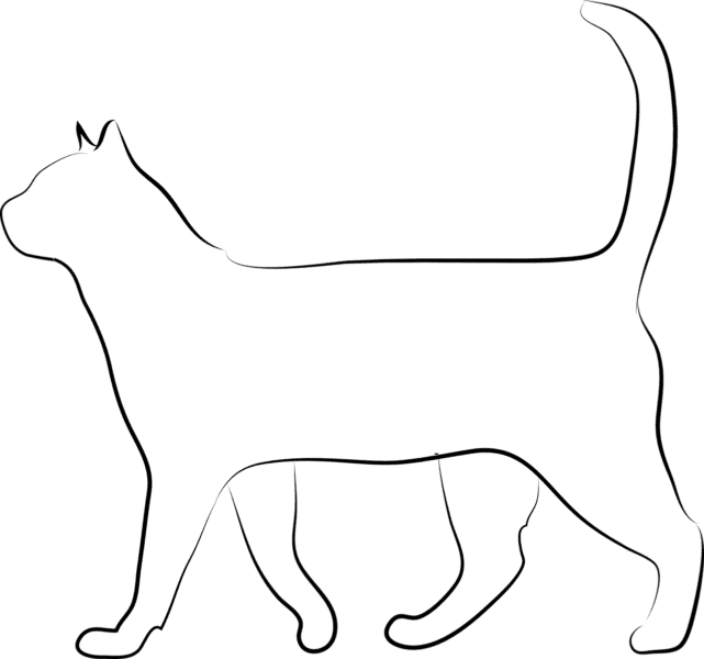 110 трафаретов кошки для вырезания