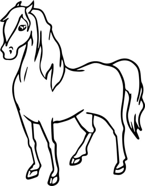 95 рисунков лошади карандашом и не только