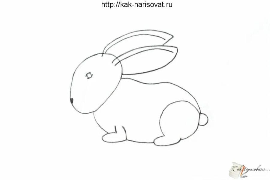 Как нарисовать зайчика: 130 рисунков для детей