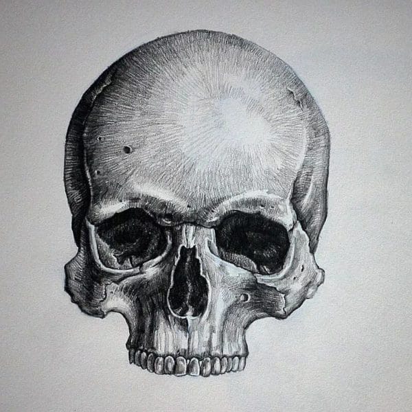 70 рисунков черепа карандашом и не только