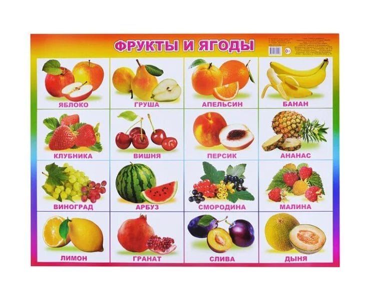 Овощи и фрукты: 100 картинок для детей