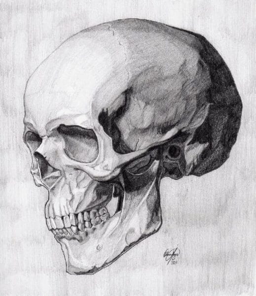 70 рисунков черепа карандашом и не только