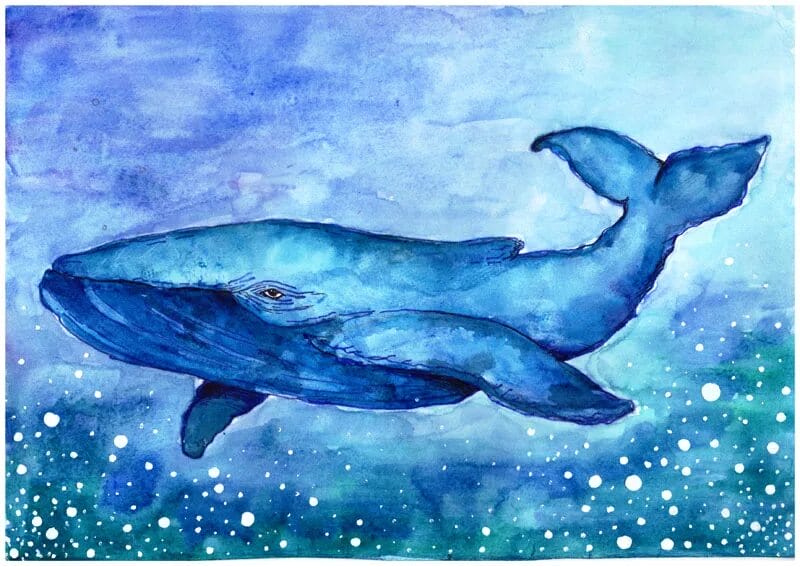 Как нарисовать кита: 90 рисунков для детей