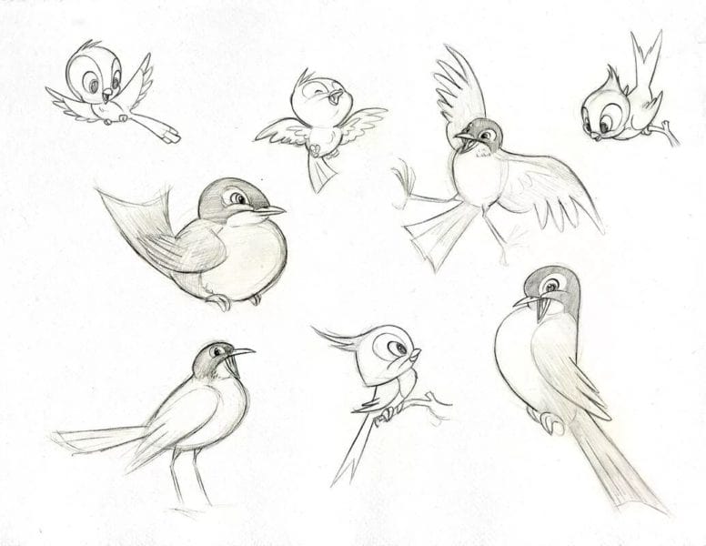 95 рисунков птичек