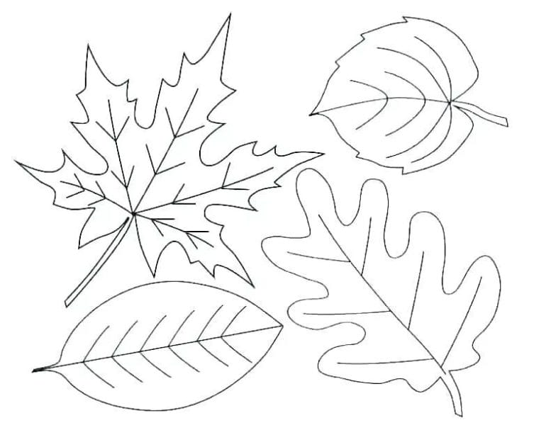 Осенние листья: 70 шаблонов для вырезания и распечататки