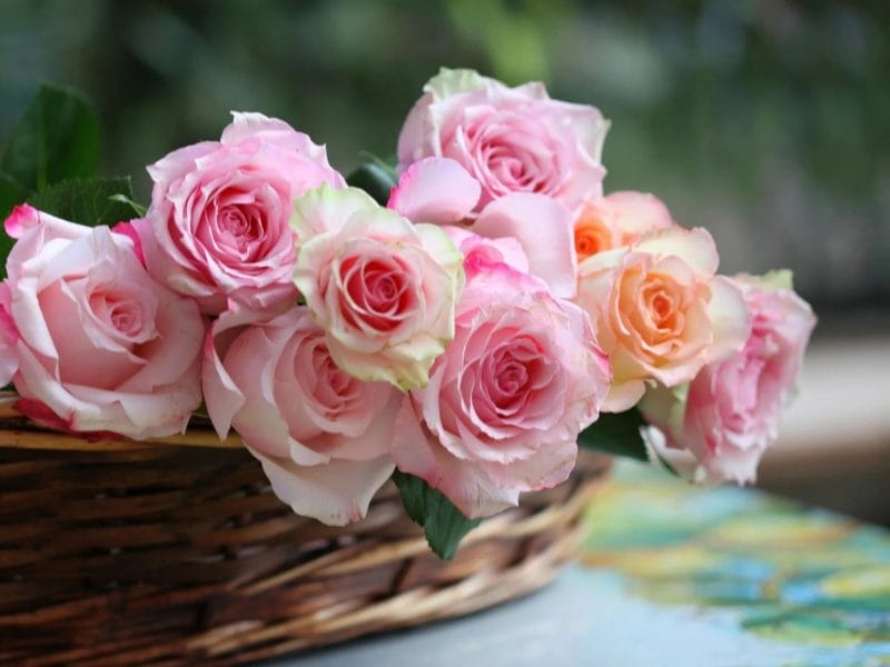 Красивые букеты роз: 170 фото