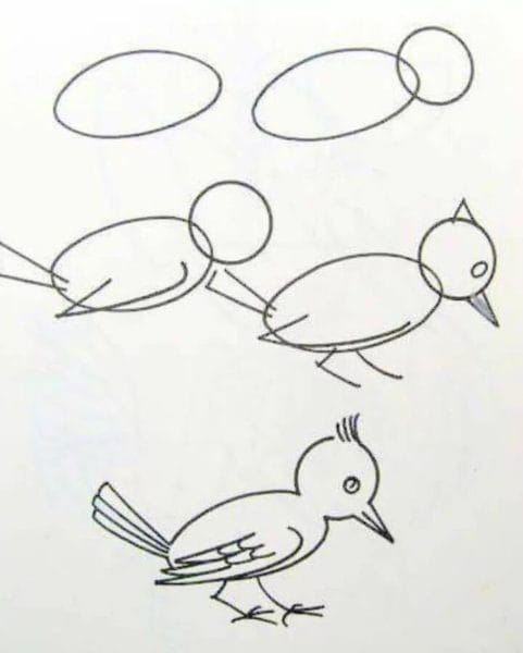 95 рисунков птичек