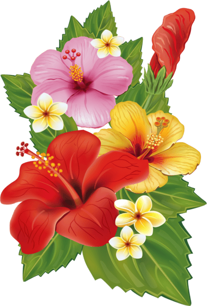 Цветы в PNG: 110 картинок без фона