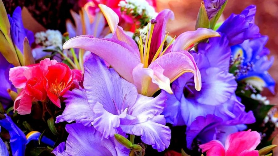 Красивые цветы: 170 фото высокого качества