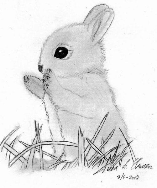 Как нарисовать кролика: 90 красивых рисунков