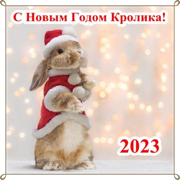 195 красивых открыток с Новым Годом 2023