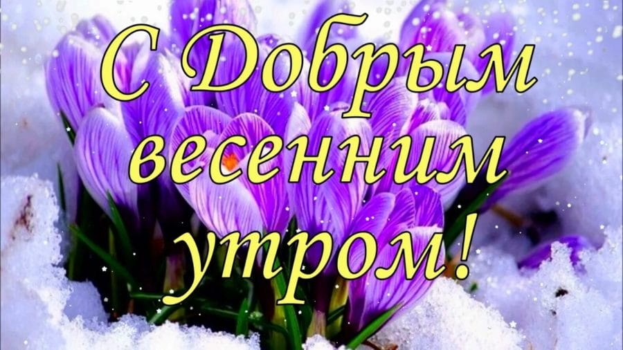 С добром мартовским утром! 80 открыток