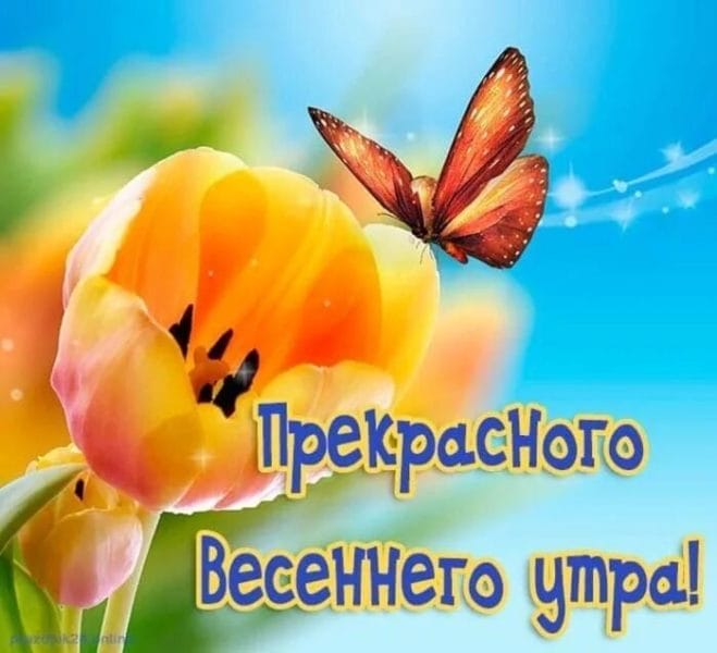 С добром мартовским утром! 80 открыток