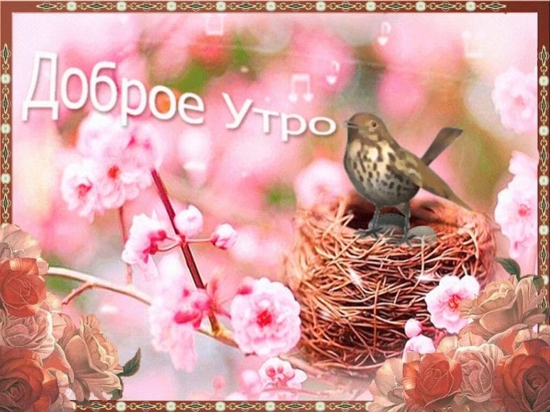 С добром мартовским утром! 80 открыток