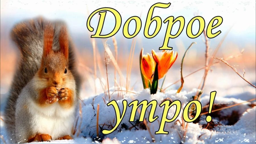 С добром мартовским утром! 80 открыток