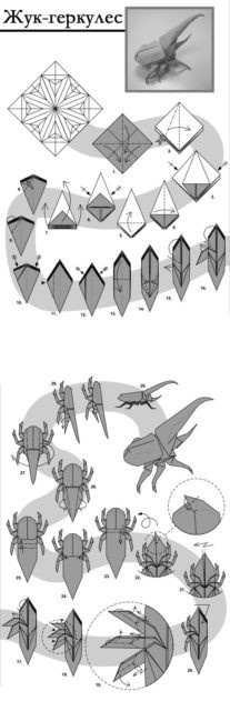 Жук-геркулес оригами, схема
