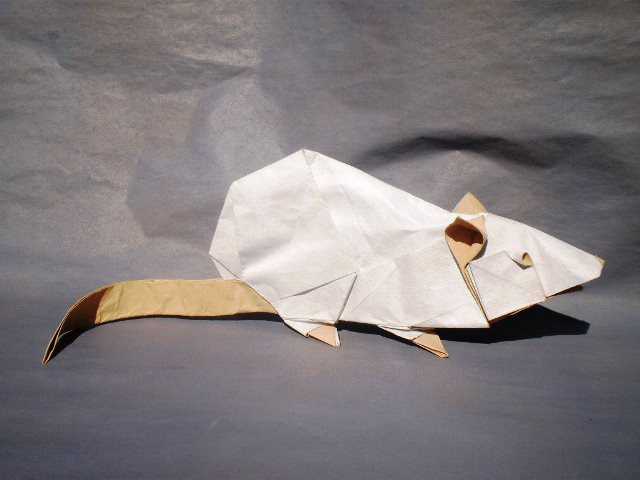 Модульное оригами с крысой на Новый год 2020: как сделать, раскрасить