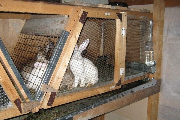 Деревянная клетка для кролика