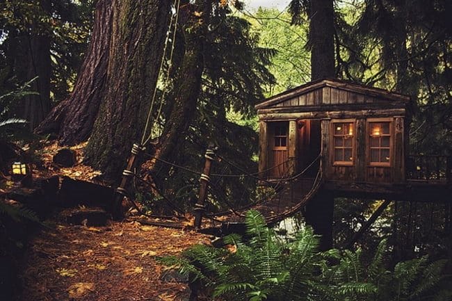 Картинки деревянных домов в лесу (100 фото) #9