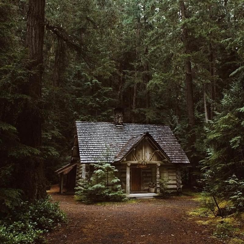 Картинки деревянных домов в лесу (100 фото) #100